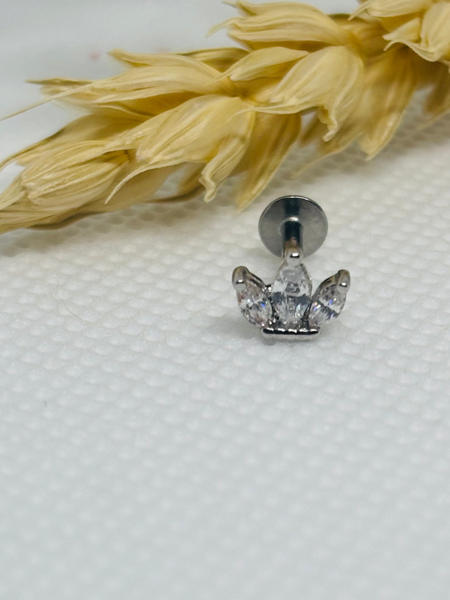 Piercing- Couronne