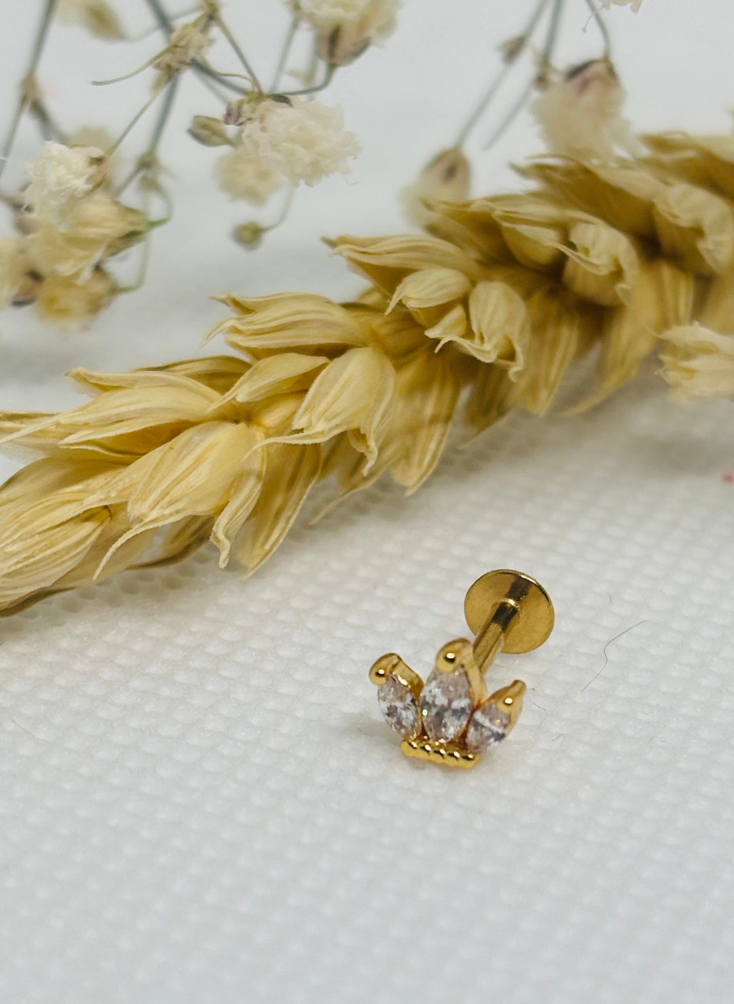 Piercing- Couronne